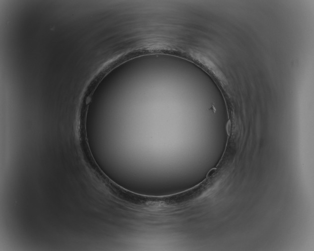 X0000089400391200706291411