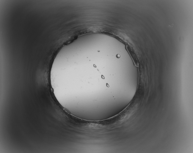 X0000089400393200706291411