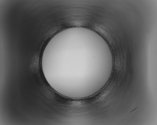 X0000089400394200706291411