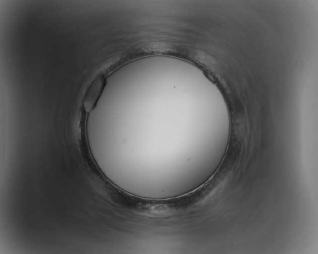 X0000089400395200706291411