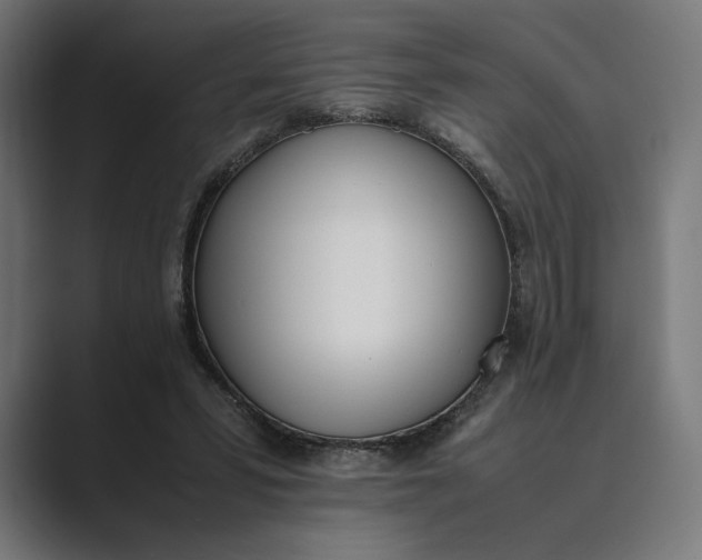 X0000089400399200706291411