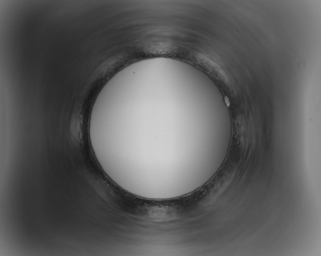 X0000089400400200706291411