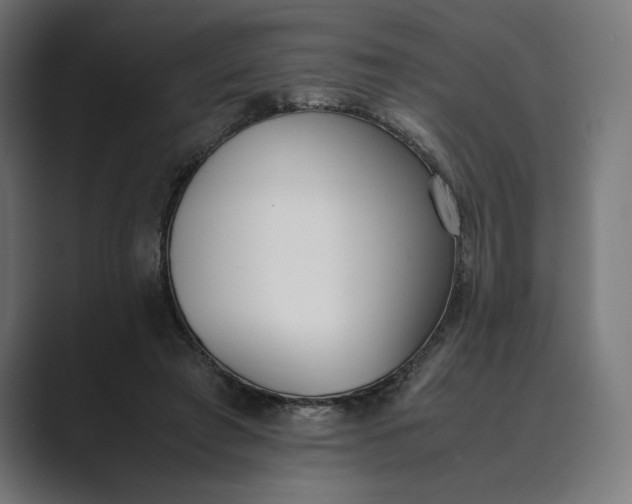 X0000089400401200706291411