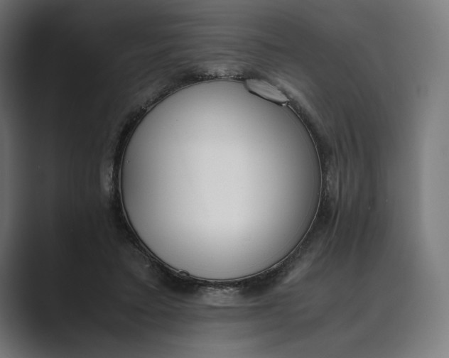 X0000089400403200706291411