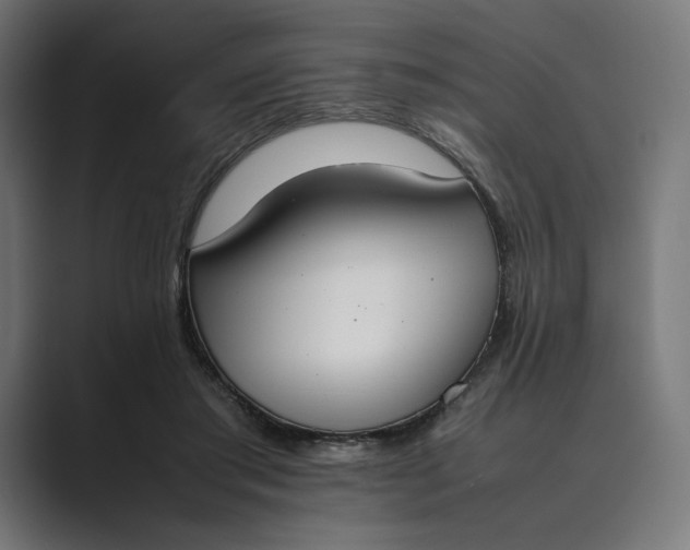 X0000089400405200706291411