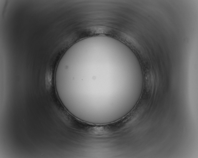 X0000089400406200706291411