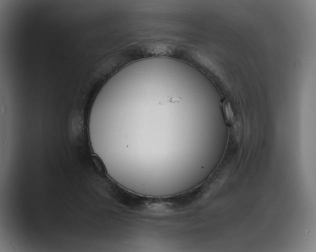 X0000089400407200706291411