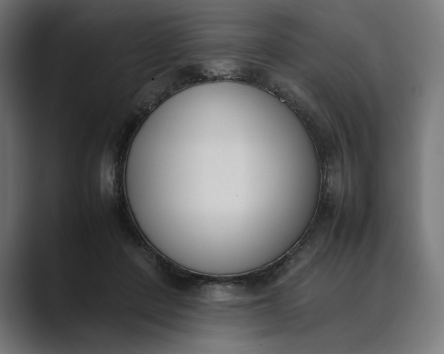 X0000089400408200706291411