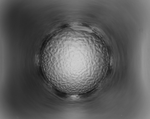 X0000089400409200706291411