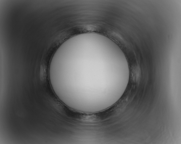 X0000089400410200706291411