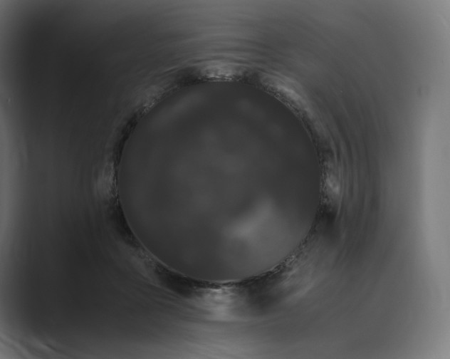 X0000089400411200706291411