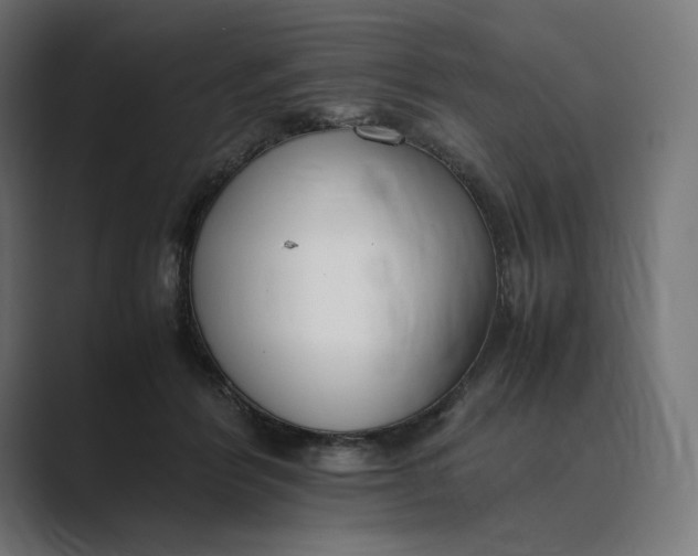 X0000089400412200706291411