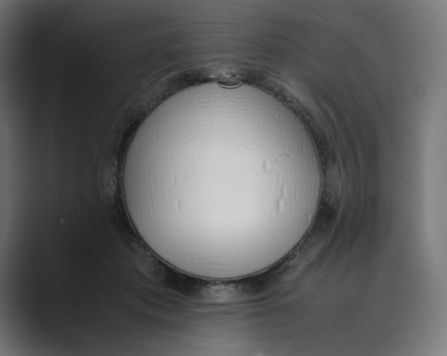 X0000089400413200706291411