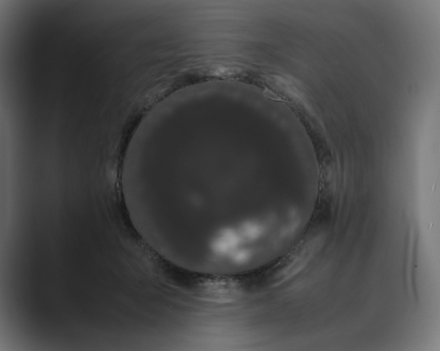 X0000089400415200706291411