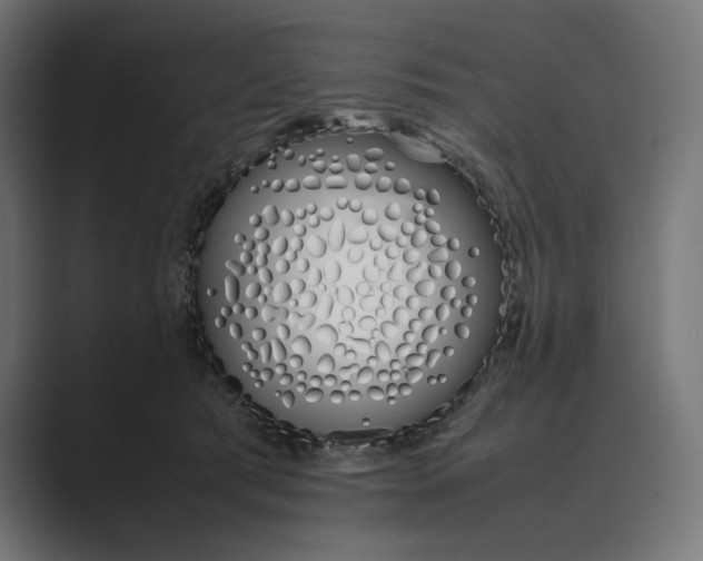 X0000089400417200706291411