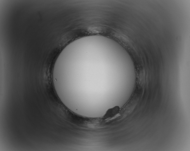 X0000089400418200706291410