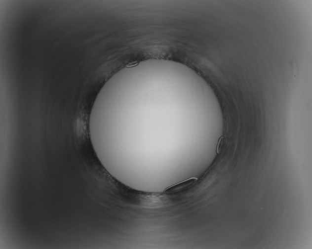 X0000089400432200706291410