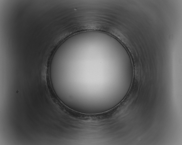 X0000089400434200706291410