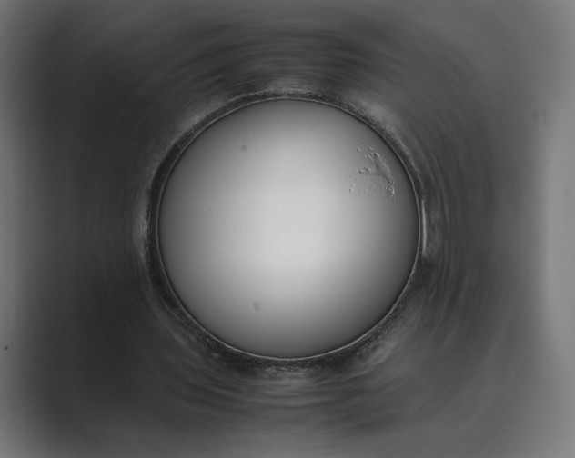 X0000089400435200706291410