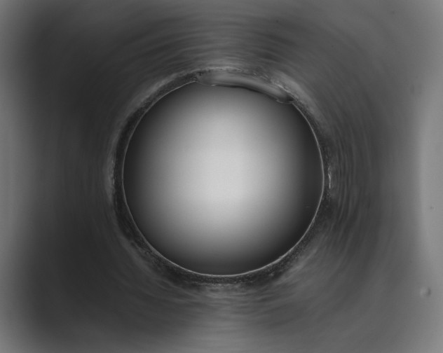 X0000089400436200706291410