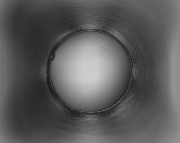 X0000089400438200706291410