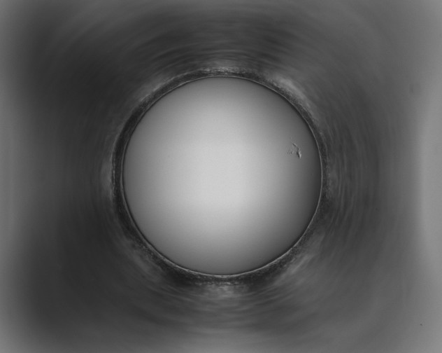 X0000089400439200706291410