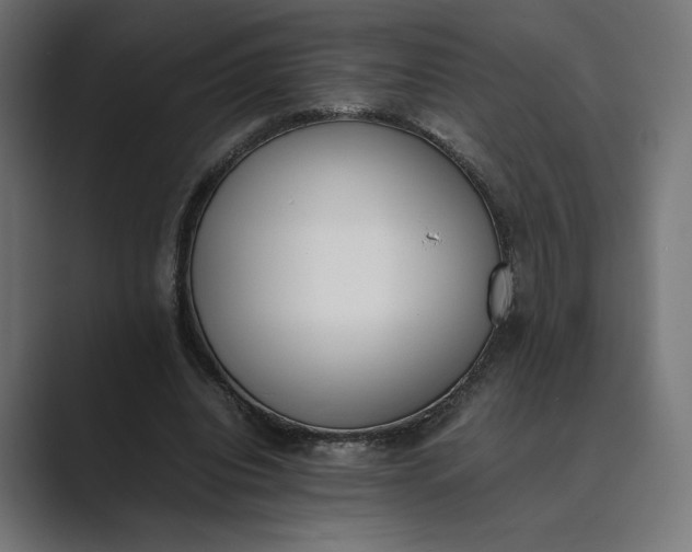 X0000089400440200706291410