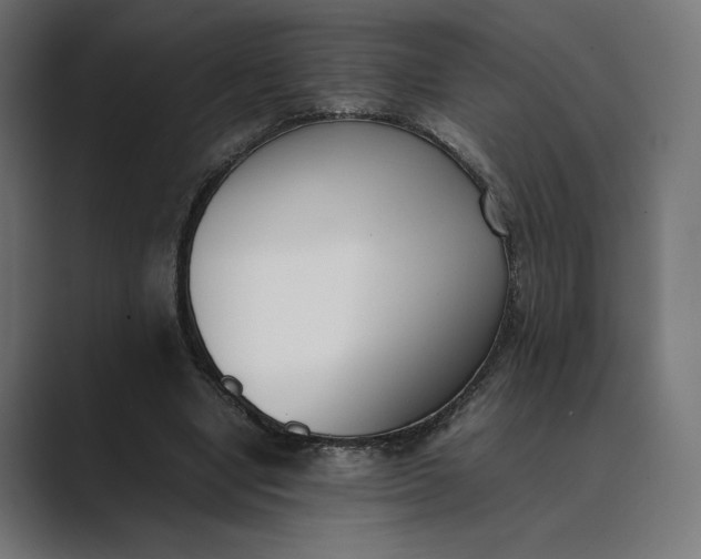 X0000089400442200706291410