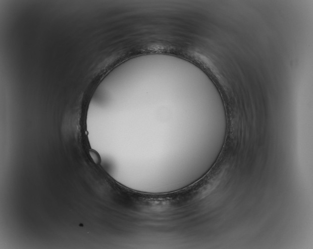 X0000089400443200706291410