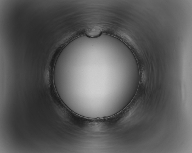 X0000089400444200706291410