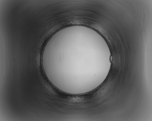 X0000089400445200706291410