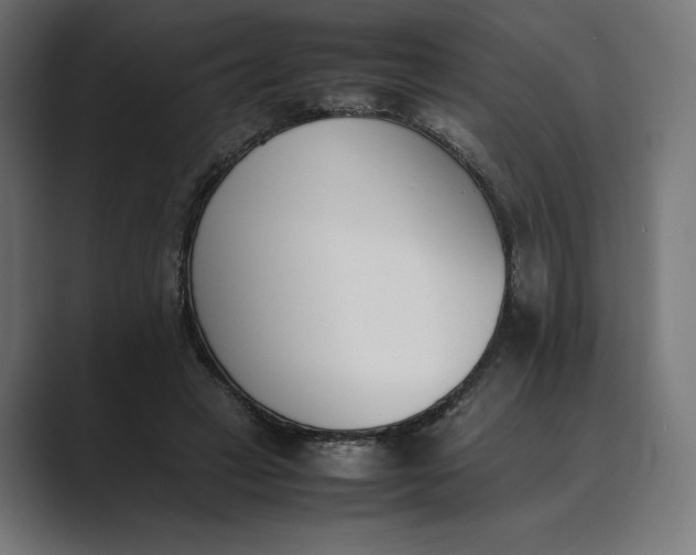 X0000089400449200706291410