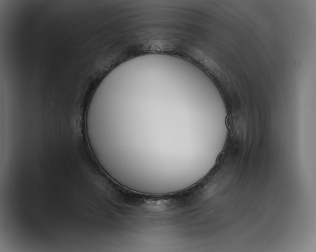 X0000089400450200706291410