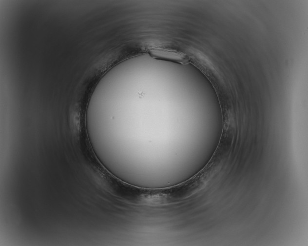 X0000089400452200706291410