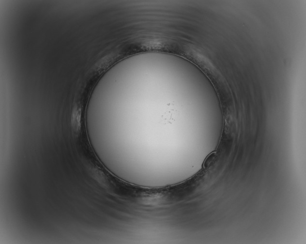 X0000089400454200706291410