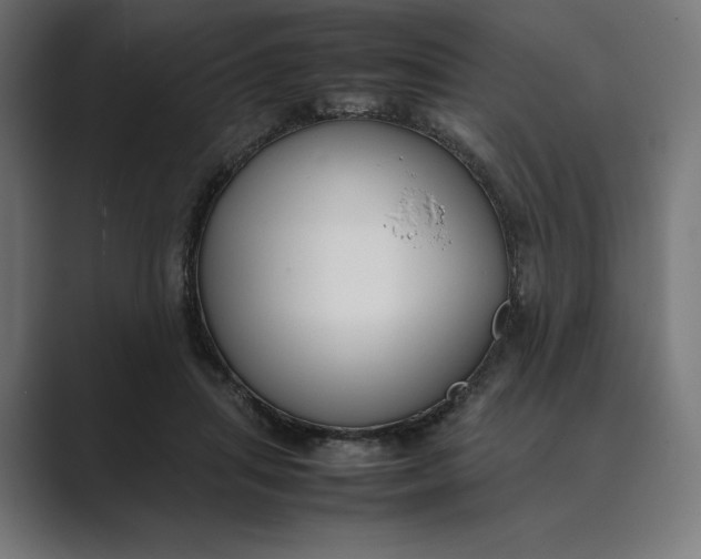 X0000089400455200706291410