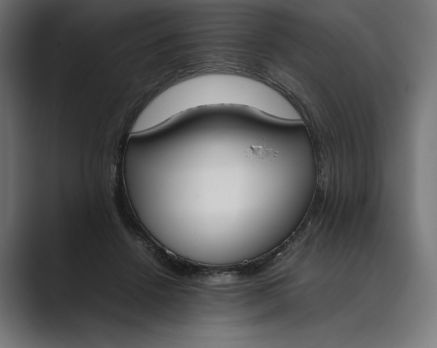 X0000089400456200706291410