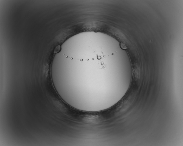 X0000089400458200706291410