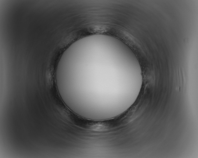 X0000089400460200706291410