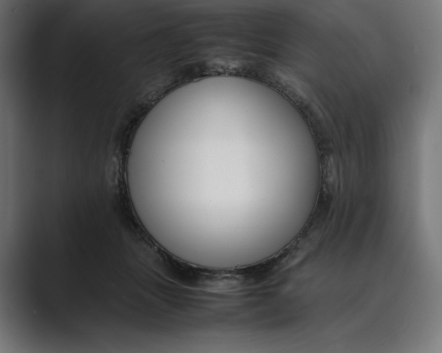 X0000089400463200706291410