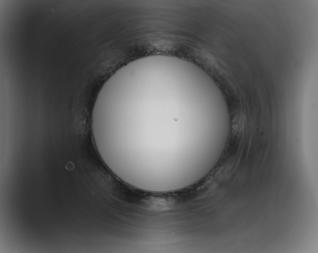 X0000089400464200706291410