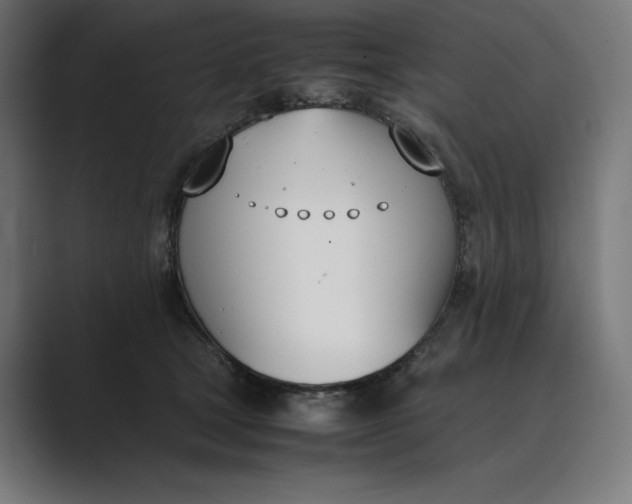 X0000089400465200706291410