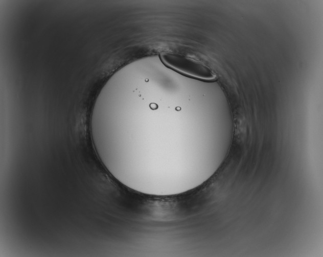 X0000089400466200706291410