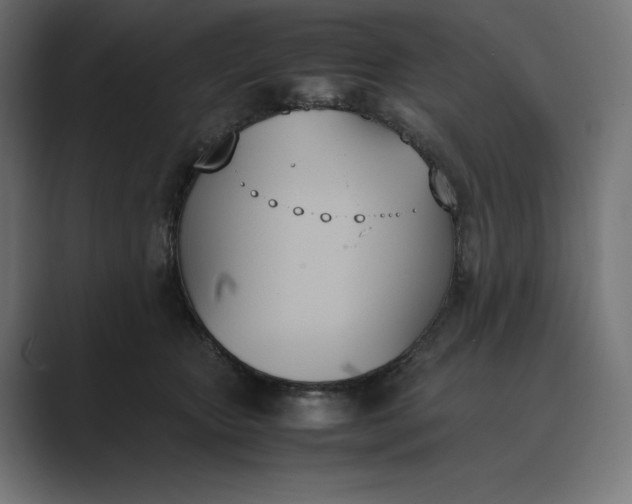 X0000089400467200706291410