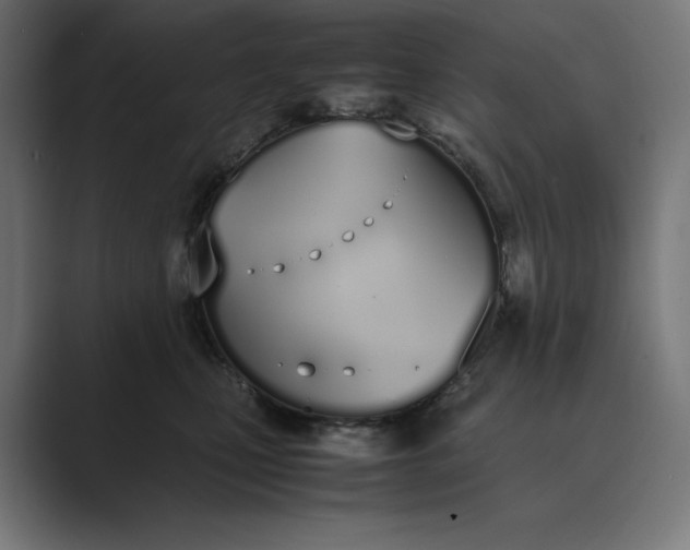 X0000089400471200706291410