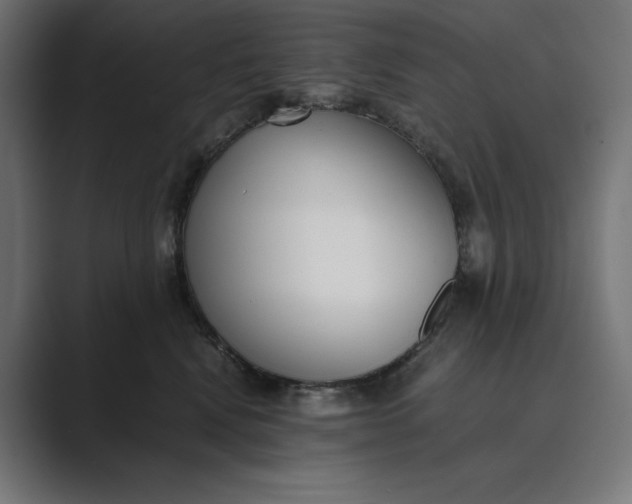 X0000089400472200706291410