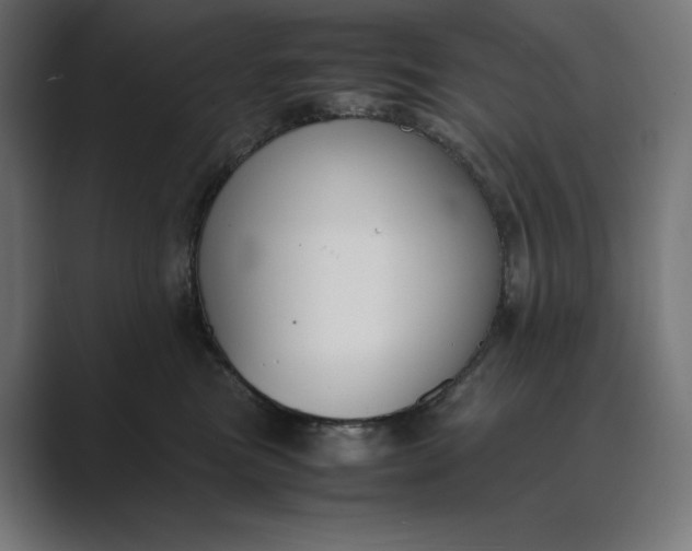 X0000089400473200706291410