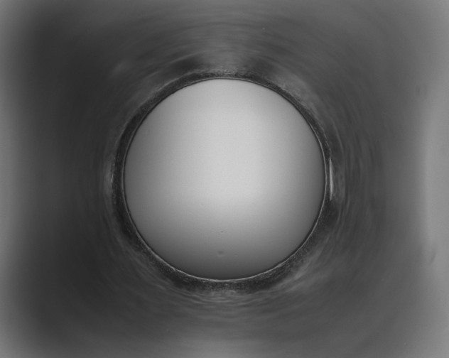 X0000089400483200706291410