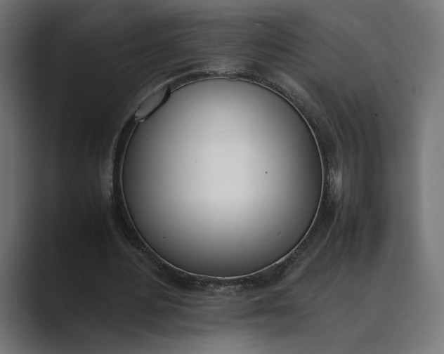 X0000089400484200706291410