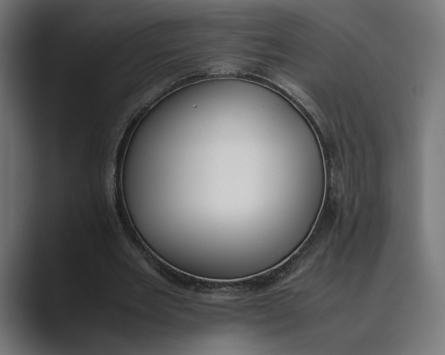 X0000089400485200706291410